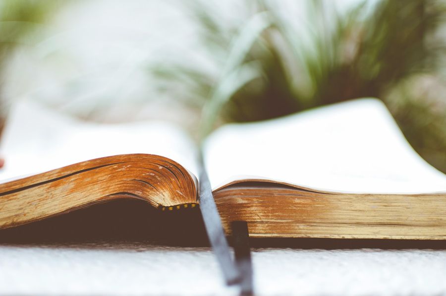 Biblia abierta