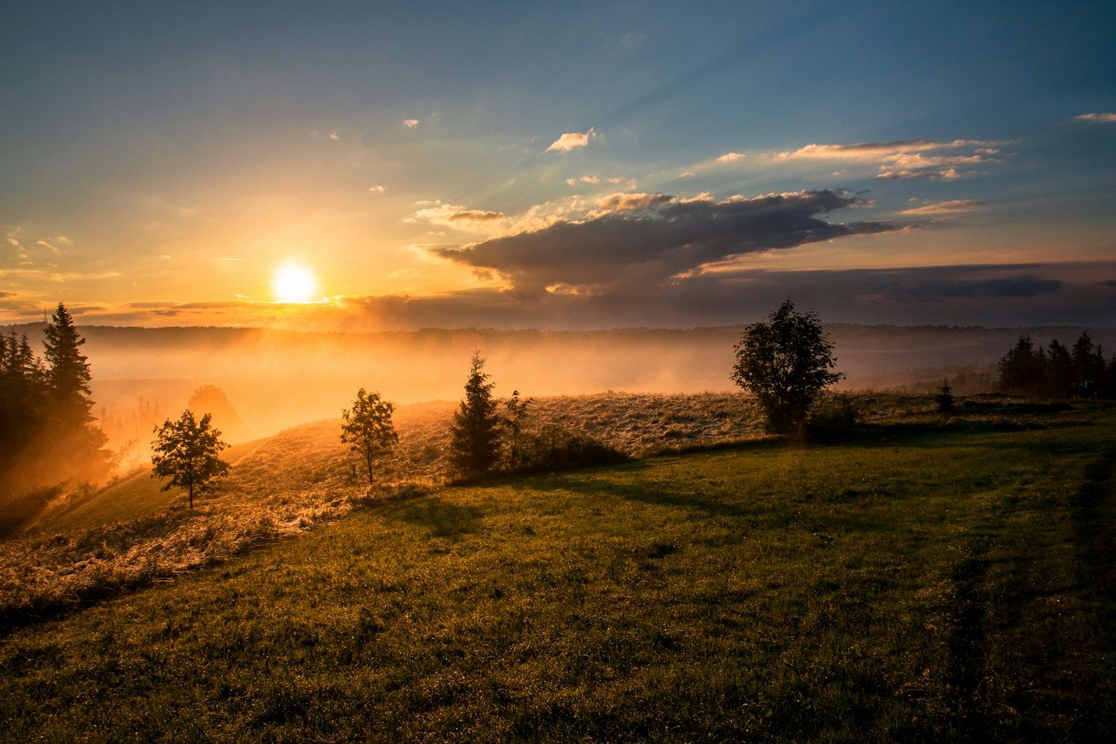 Amanecer de esperanza